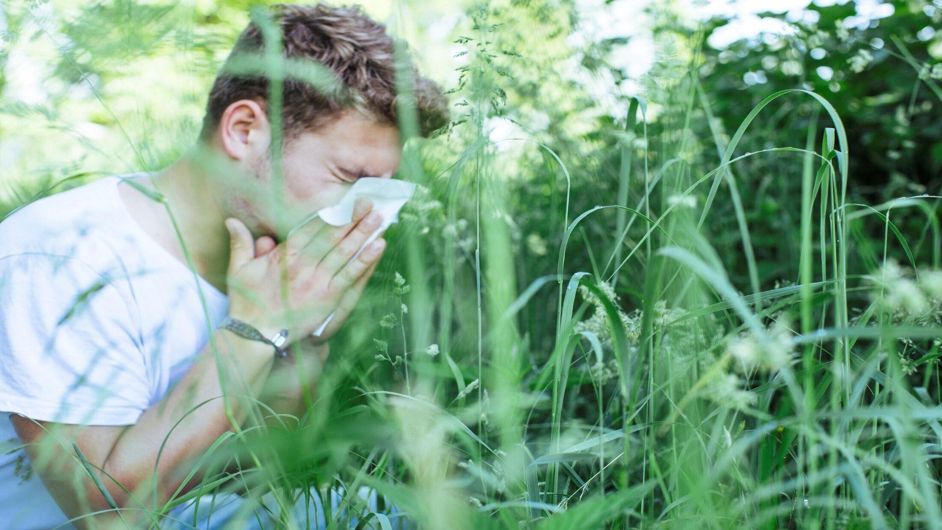Mann schnäuzt in einer blühende Wiese ins Taschentuch.