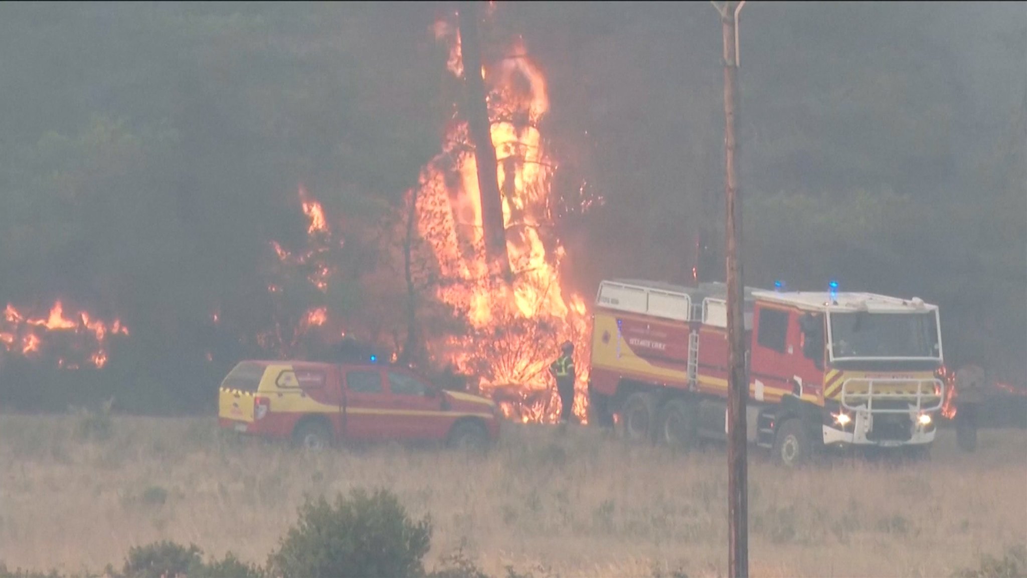 In Südspanien mussten zahlreiche Hotels und Campingplätze evakuiert werden - mittlerweile ist der Brand unter Kontrolle. Beim bisher größten Waldbrand des Sommers in Frankreich gab es ein Todesopfer.