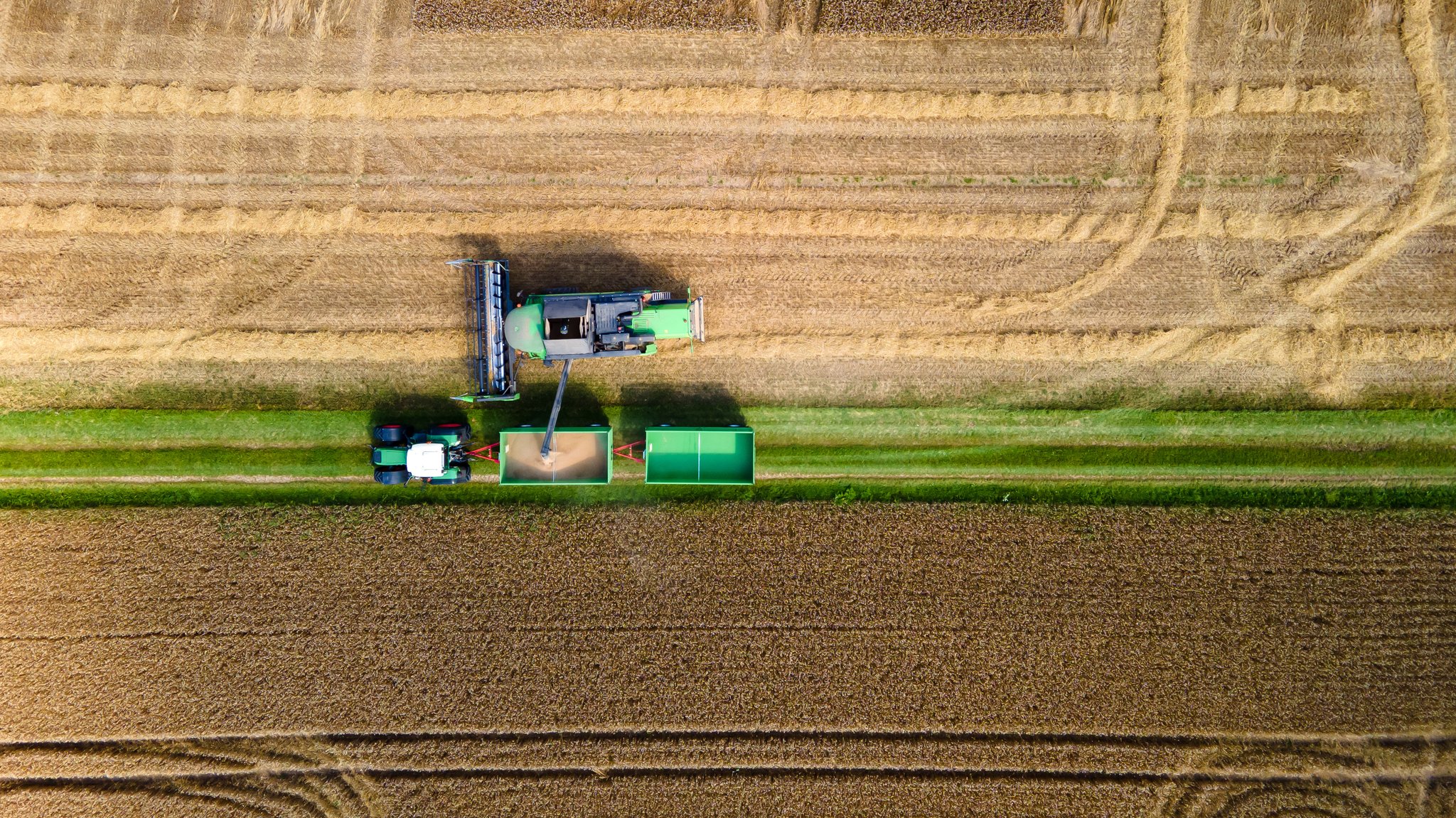 Tagesgespräch: Was bedeutet die Hitze für die Ernte?