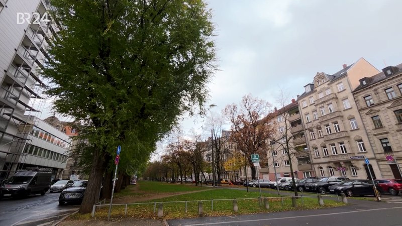 Parkraum statt Platz für Bäume in der Hornschuchpromenade? | Bild: BR Parkraum statt Platz für Bäume in der Hornschuchpromenade?