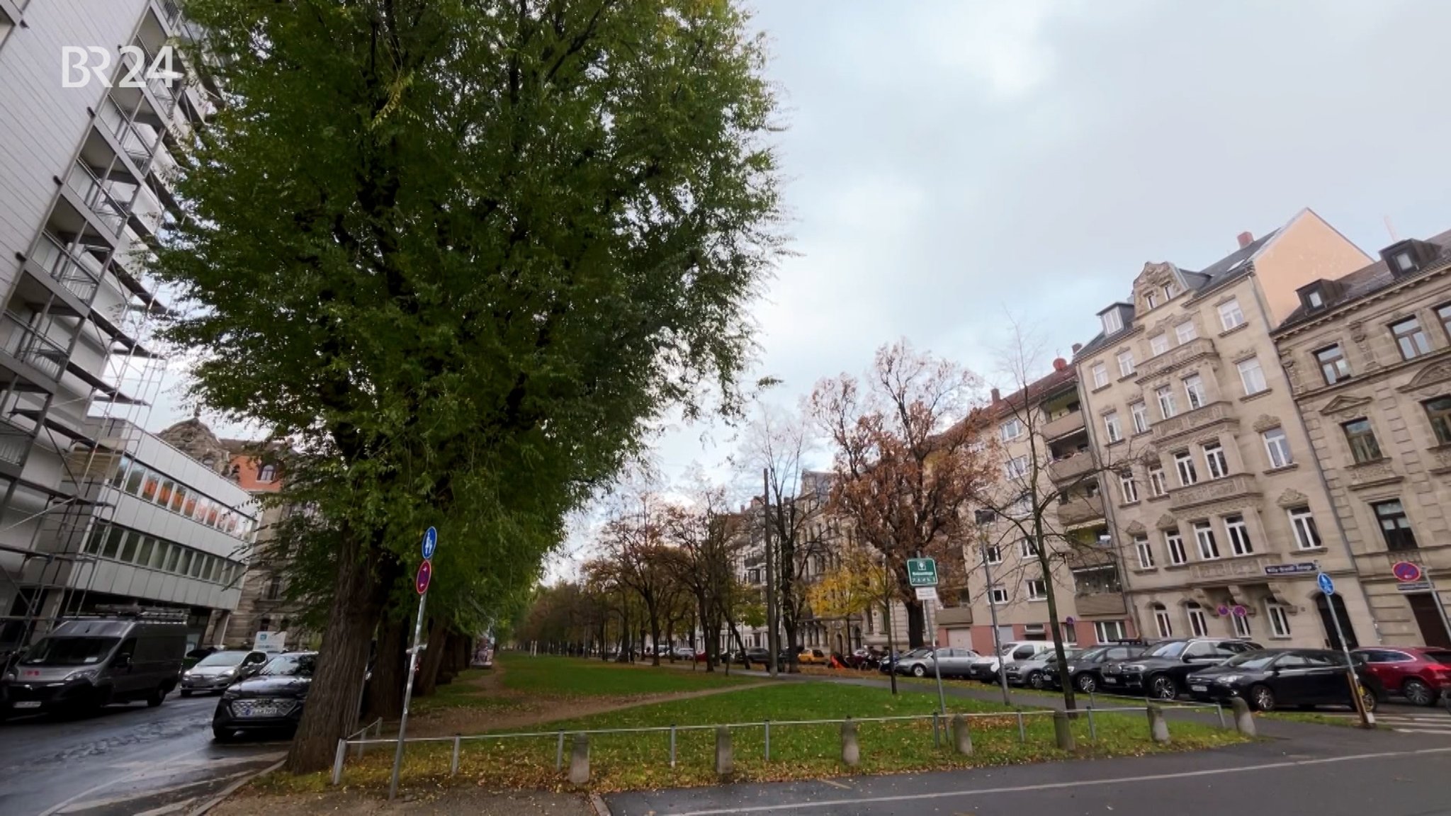 Streit in Fürth: Anwohner wollen Parkraum statt Platz für Bäume