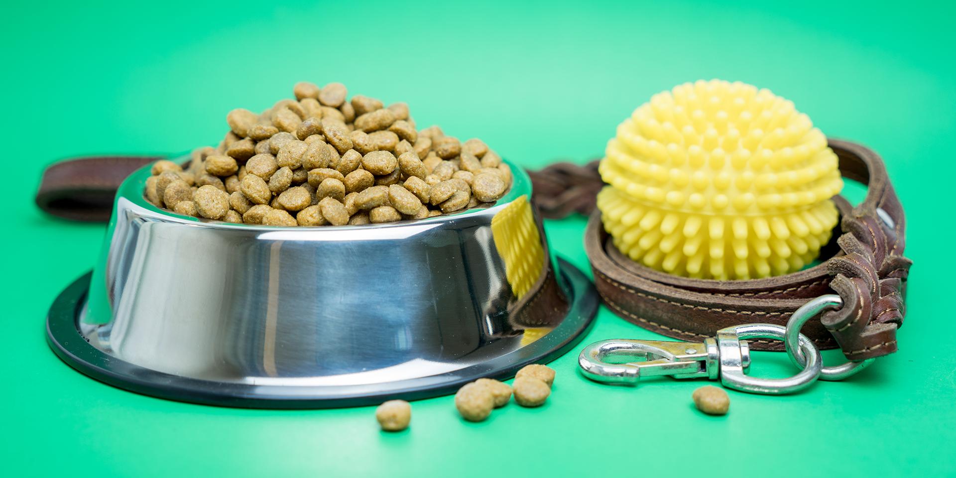 Hundefutter Test Welches Trockenfutter ist gut fr den Hund? | BAYERN 3