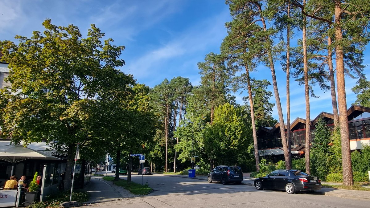 Stadt im Wald: Wohngegend unweit des Stadtzentrums von Waldkraiburg - mit altem und jüngerem Baumbestand