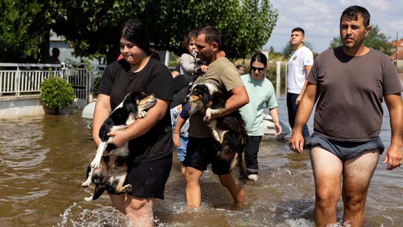 Menschen tragen im überschwemmten Dorf Palamas ihre Hunde durch die Fluten. 