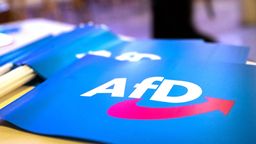 Fahne mit AfD-Logo (Archiv) | Bild:dpa-Bildfunk/Daniel Karmann