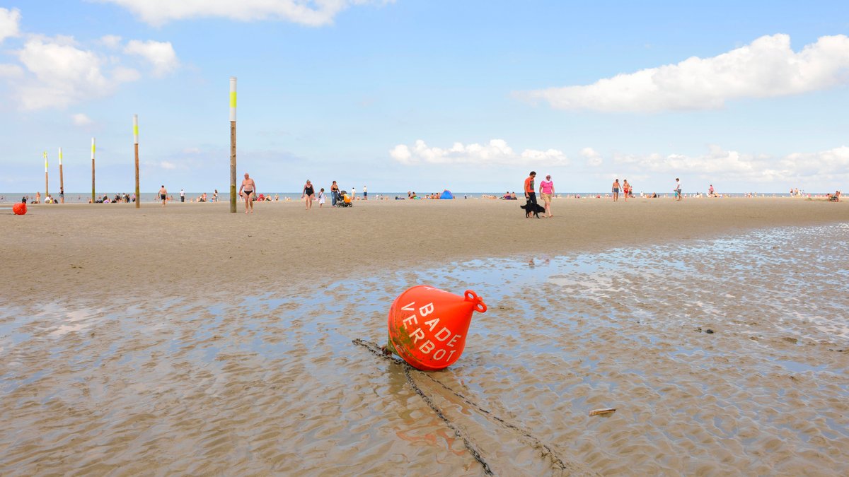 Noch gilt zwar kein Badeverbot, die Stadt Kiel an der Nordsee warnt jedoch vor der Ausbreitung der gefährlichen Vibrionen im Wasser (Symbolbild)
