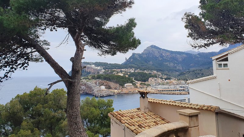 Blick in die Bucht und den Hafen von Port de Soller, Mallorca 