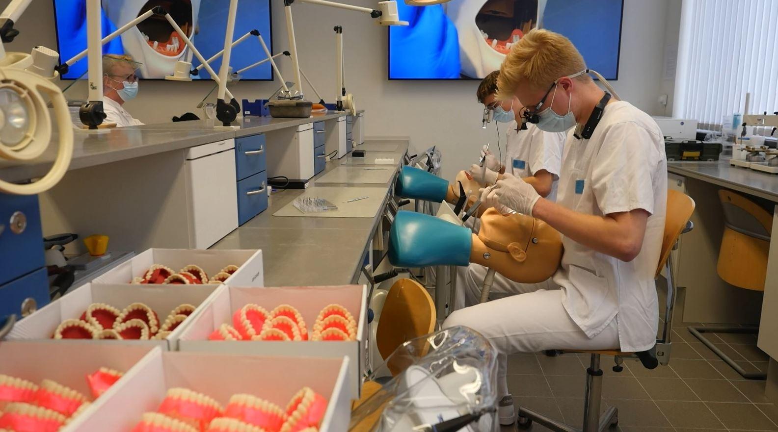 Studierende üben an Zahn-Modellen aus dem 3D-Drucker