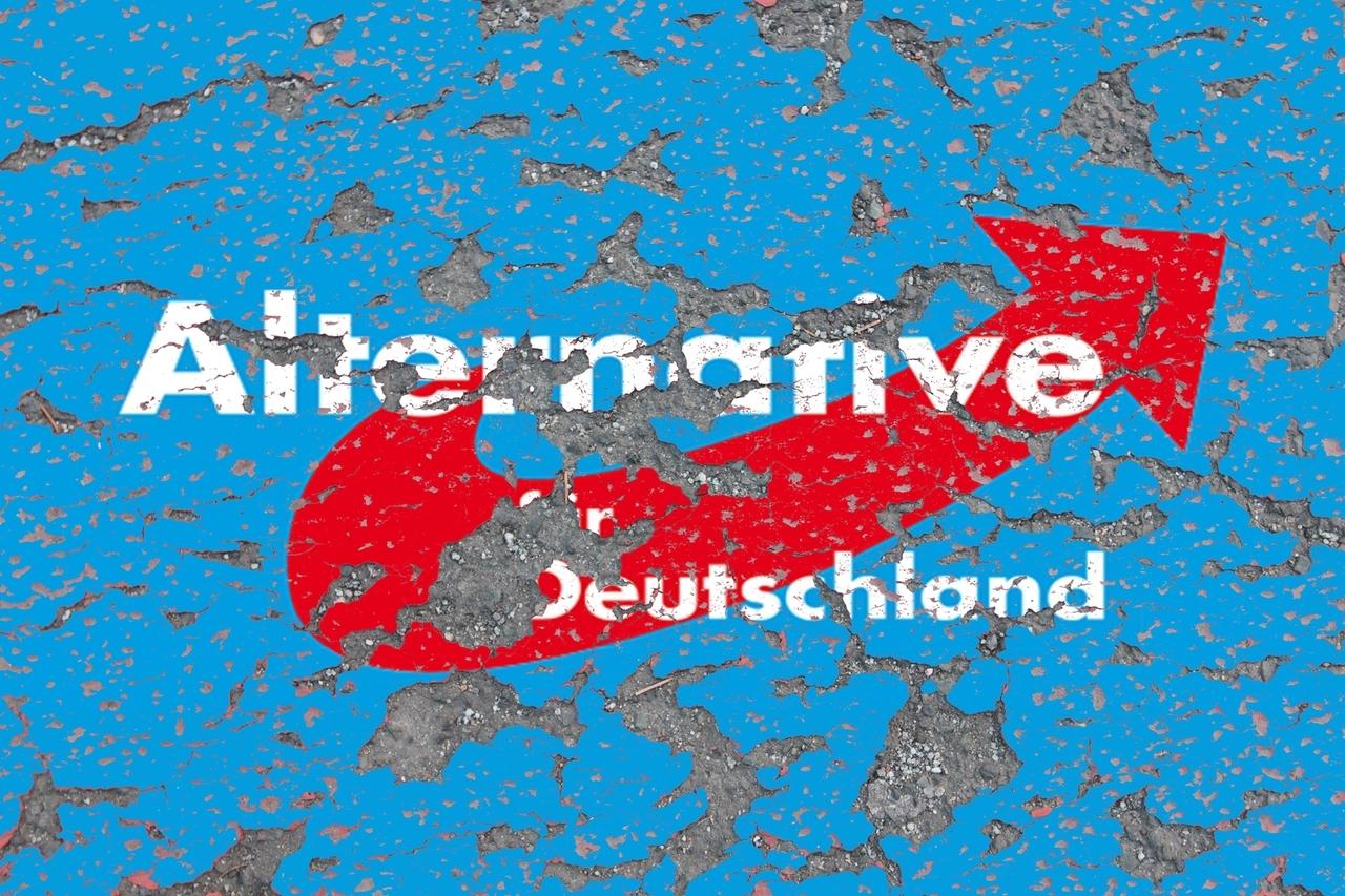 Einzelne AfD-Mitglieder Werden Vom Verfassungsschutz Beobachtet | BR24