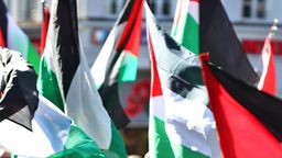 Demonstranten halten auf einer pro-palästinensischen Kundgebung Fahnen. | Bild:dpa-Bildfunk/Karl-Josef Hildenbrand