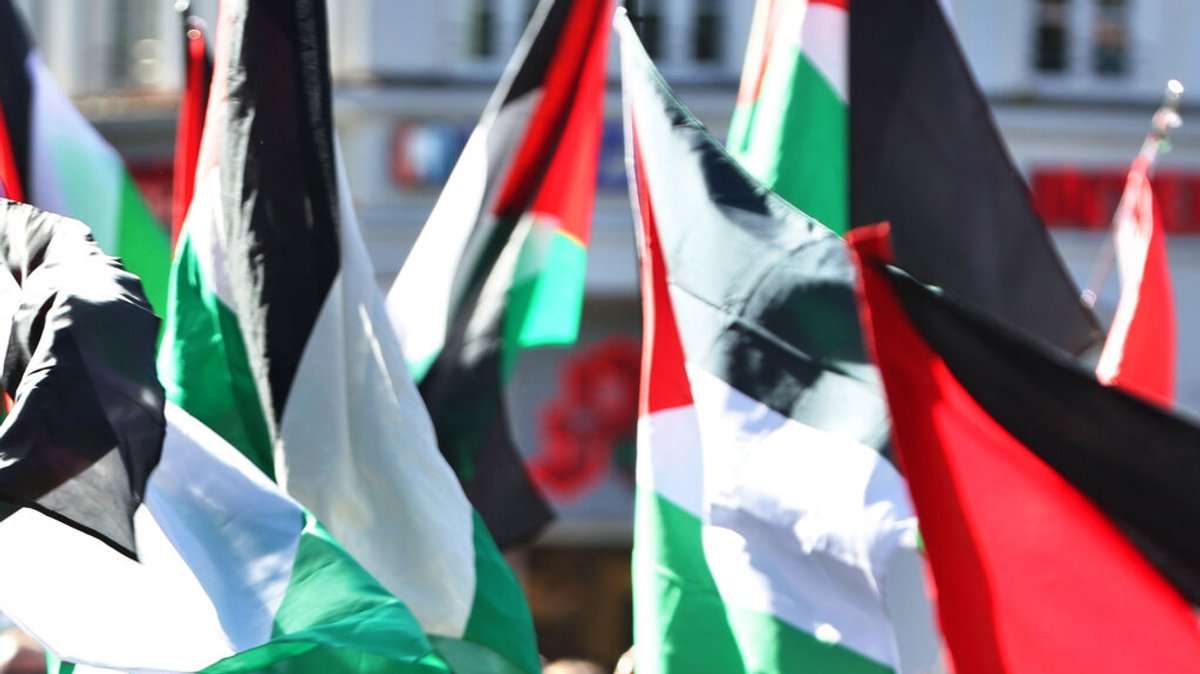 Demonstranten halten auf einer pro-palästinensischen Kundgebung Fahnen.