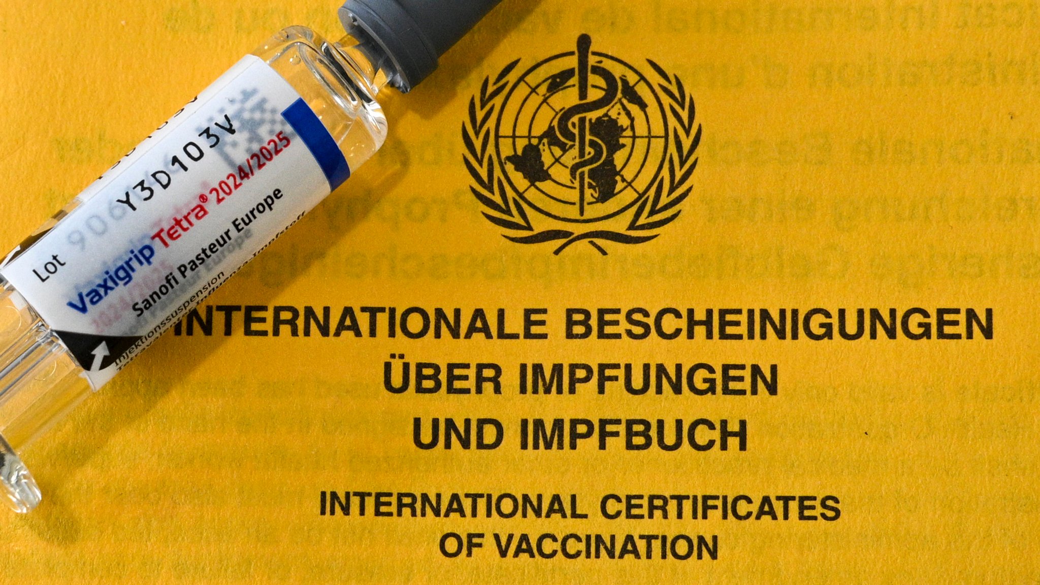 Virus-Linie ausgestorben: Neue Empfehlung für Grippe-Impfstoff