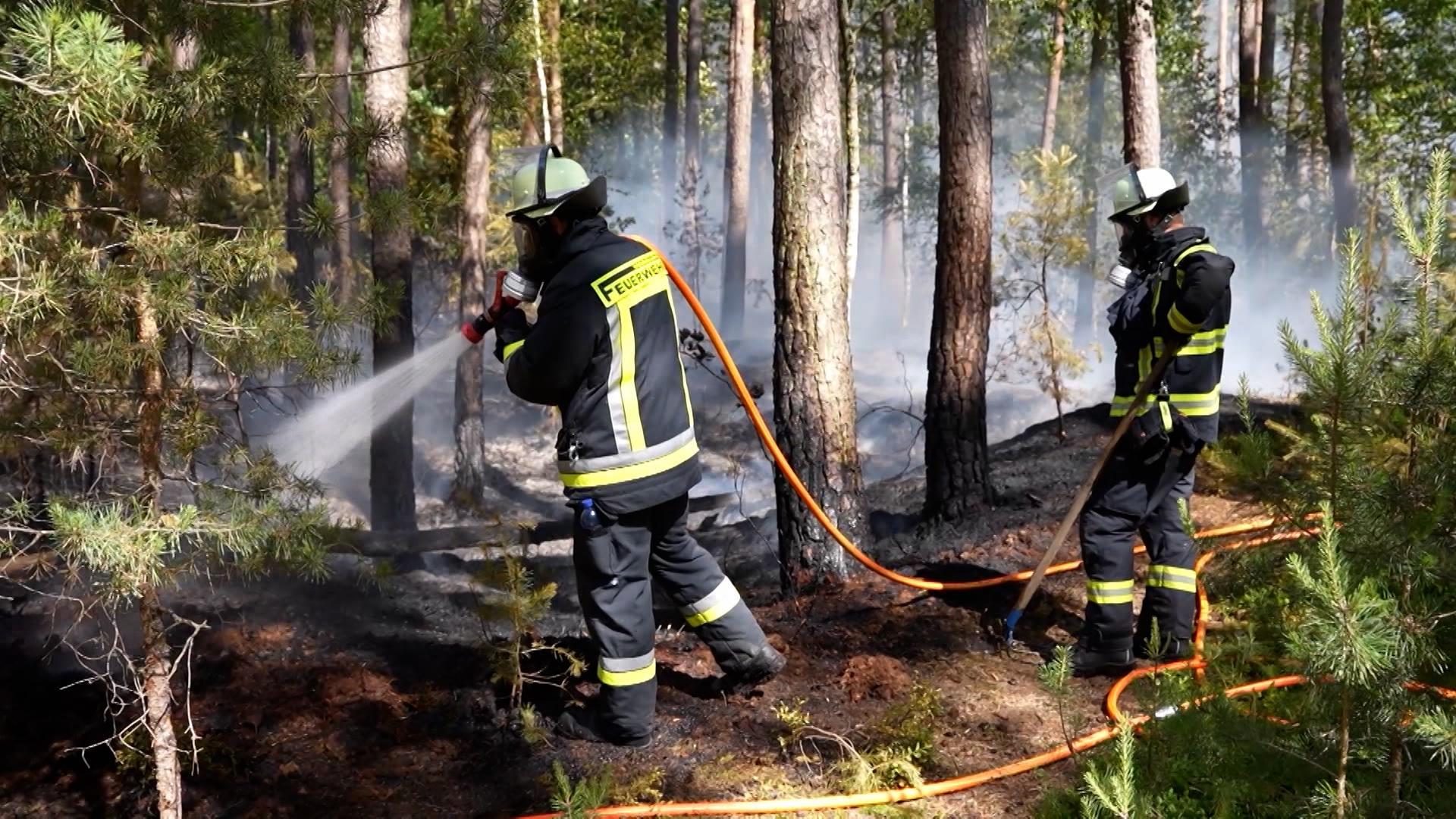 Das Wetter ist zwar bildschön - aber für einige Menschen zu heiß und für die Natur zu trocken. Die Folge: Die Waldbrandgefahr in Bayern steigt in einigen Regionen inzwischen auf die höchste Stufe.