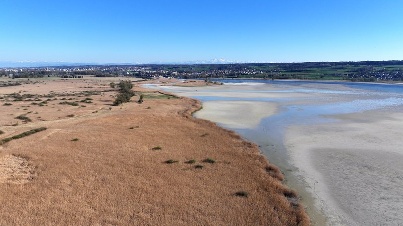 07.04.2025, Baden-Württemberg, Insel Reichenau Im Bodensee: Der Wasserstand des Bodensees ist auf einem niedrigen Stand. Rund um die Insel Reichenau wird das deutlich, hier beim Wollmatinger Ried (Aufnahme mit Drohne). (zu dpa: «So wirkt sich das Bodensee-Niedrigwasser aus») Foto: Felix Kästle/dpa +++ dpa-Bildfunk +++ | Bild: dpa-Bildfunk/Felix Kästle 07.04.2025, Baden-Württemberg, Insel Reichenau Im Bodensee: Der Wasserstand des Bodensees ist auf einem niedrigen Stand. Rund um die Insel Reichenau wird das deutlich, hier beim Wollmatinger Ried (Aufnahme mit Drohne). (zu dpa: «So wirkt sich das Bodensee-Niedrigwasser aus») Foto: Felix Kästle/dpa +++ dpa-Bildfunk +++