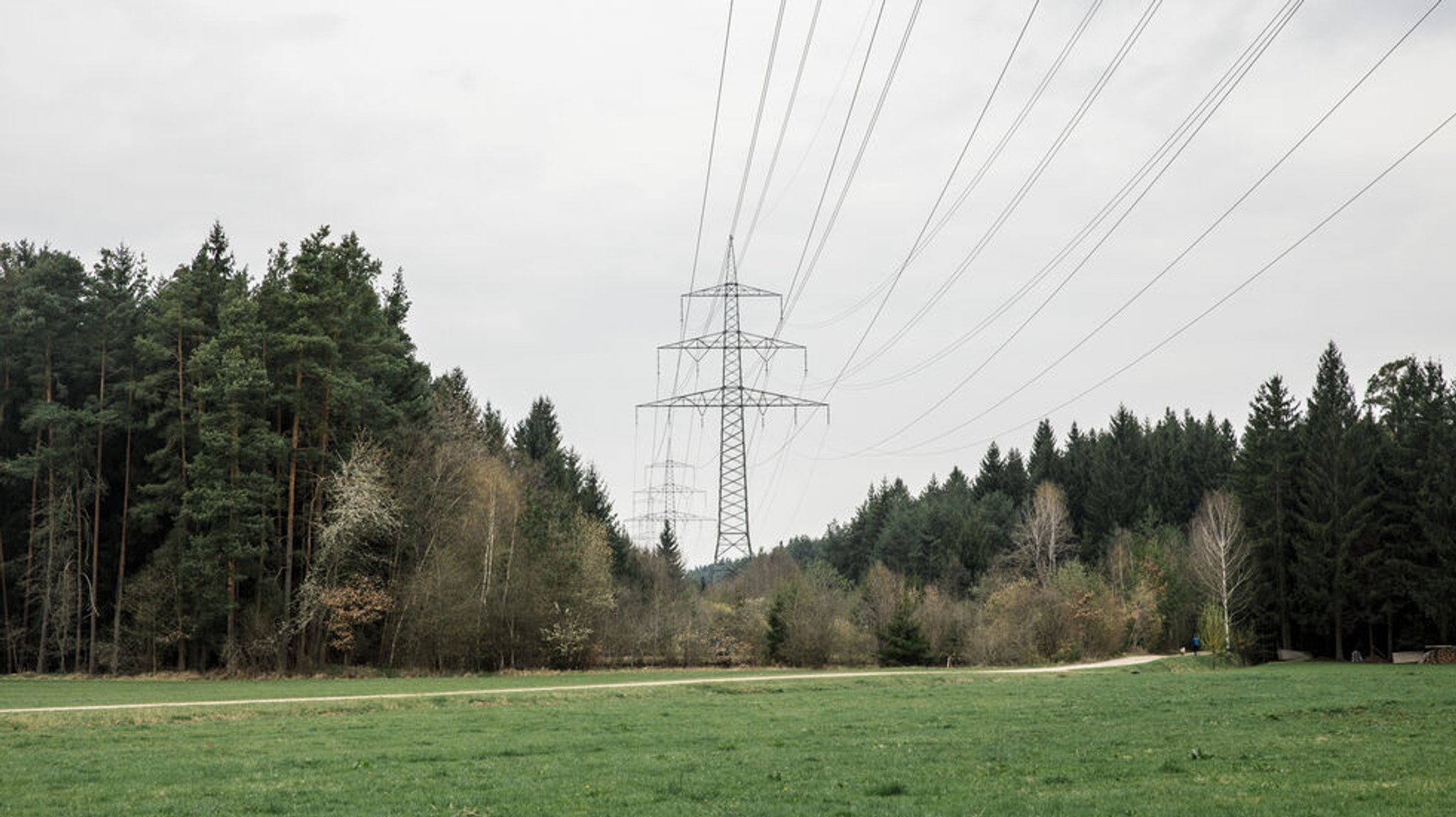 Strommasten, die durch einen Wald verlaufen (Symbolbild).