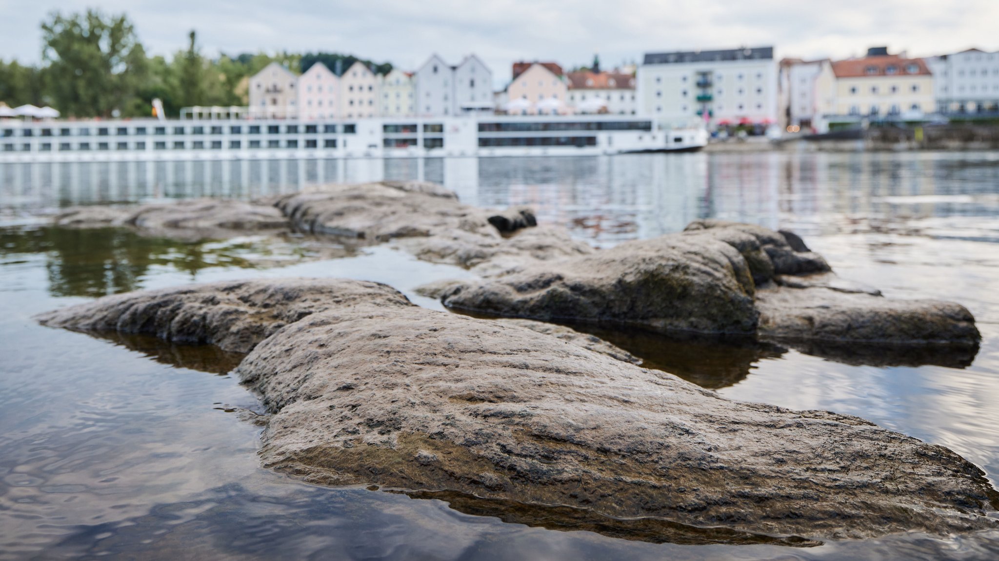 Wegen der Hitze und der Trockenheit sinkt der Pegel und der Sauerstoffgehalt in der Donau nimmt ab