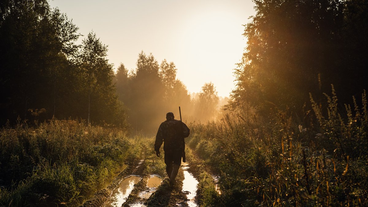 Ein Jäger mit Gewehr bei Sonnenaufgang im Wald.