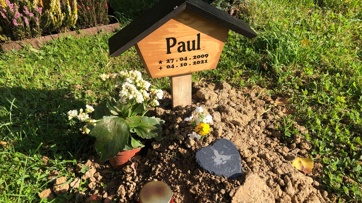 Grab des verstorbenen Katers Paul auf dem Tierfriedhof Gleißenbach