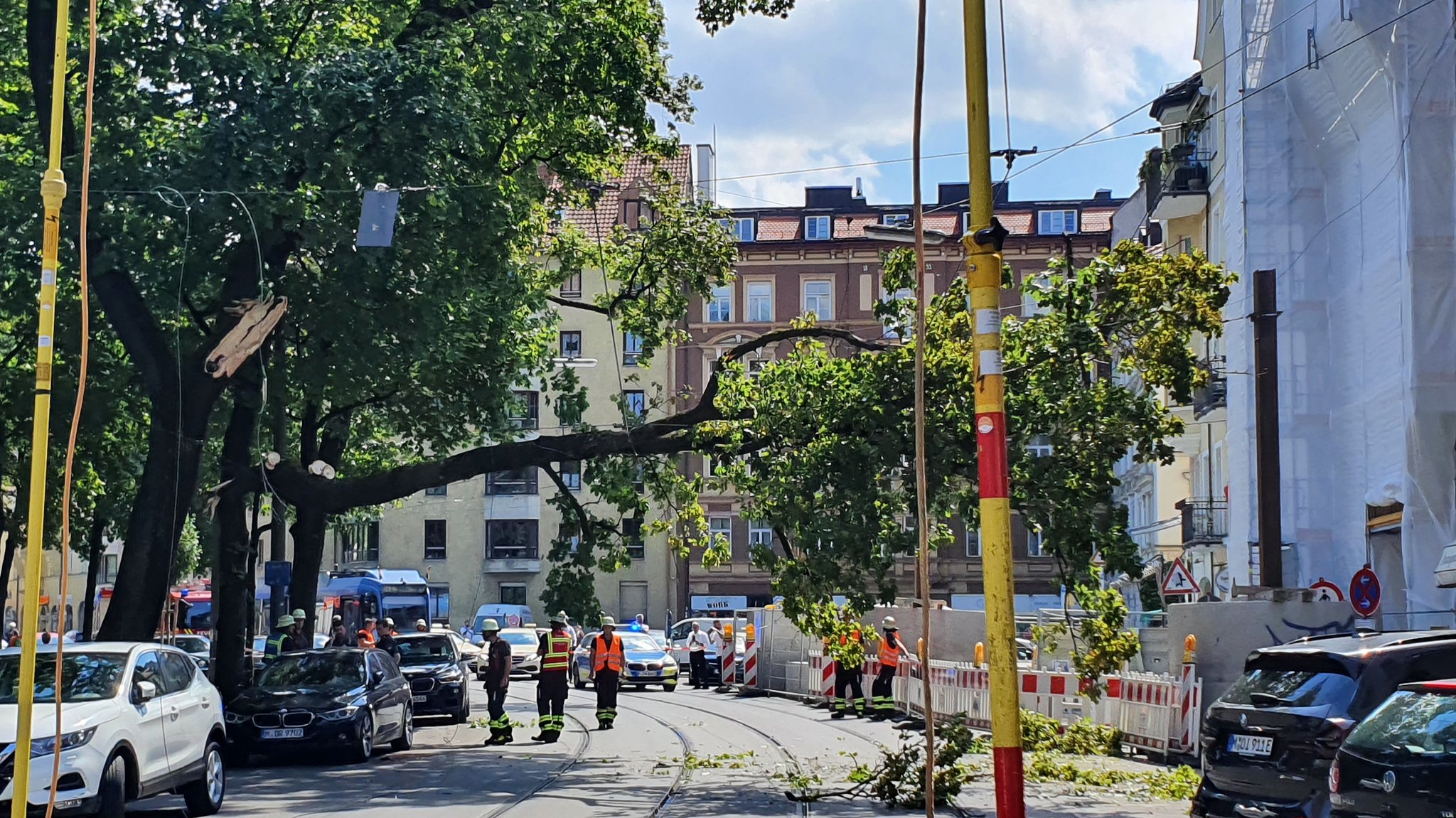 Ein großer Ast eines Baums wird von Rettungskräften von der Oberleitung gehoben. 