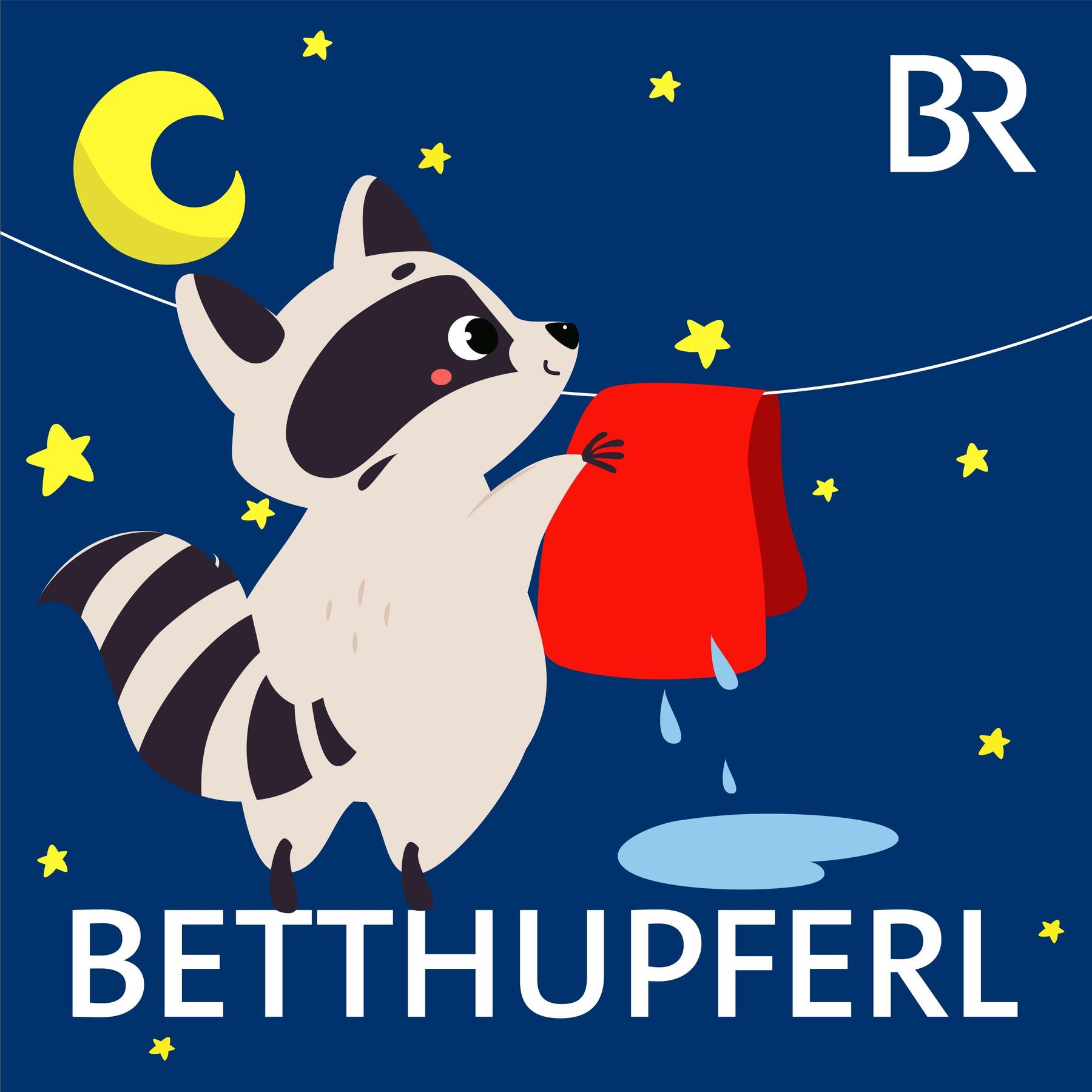 Waschbär Wugg: Zorro| Eine Gute-Nacht-Geschichte ab 5 Jahren / Mundart Oberpfalz episode artwork