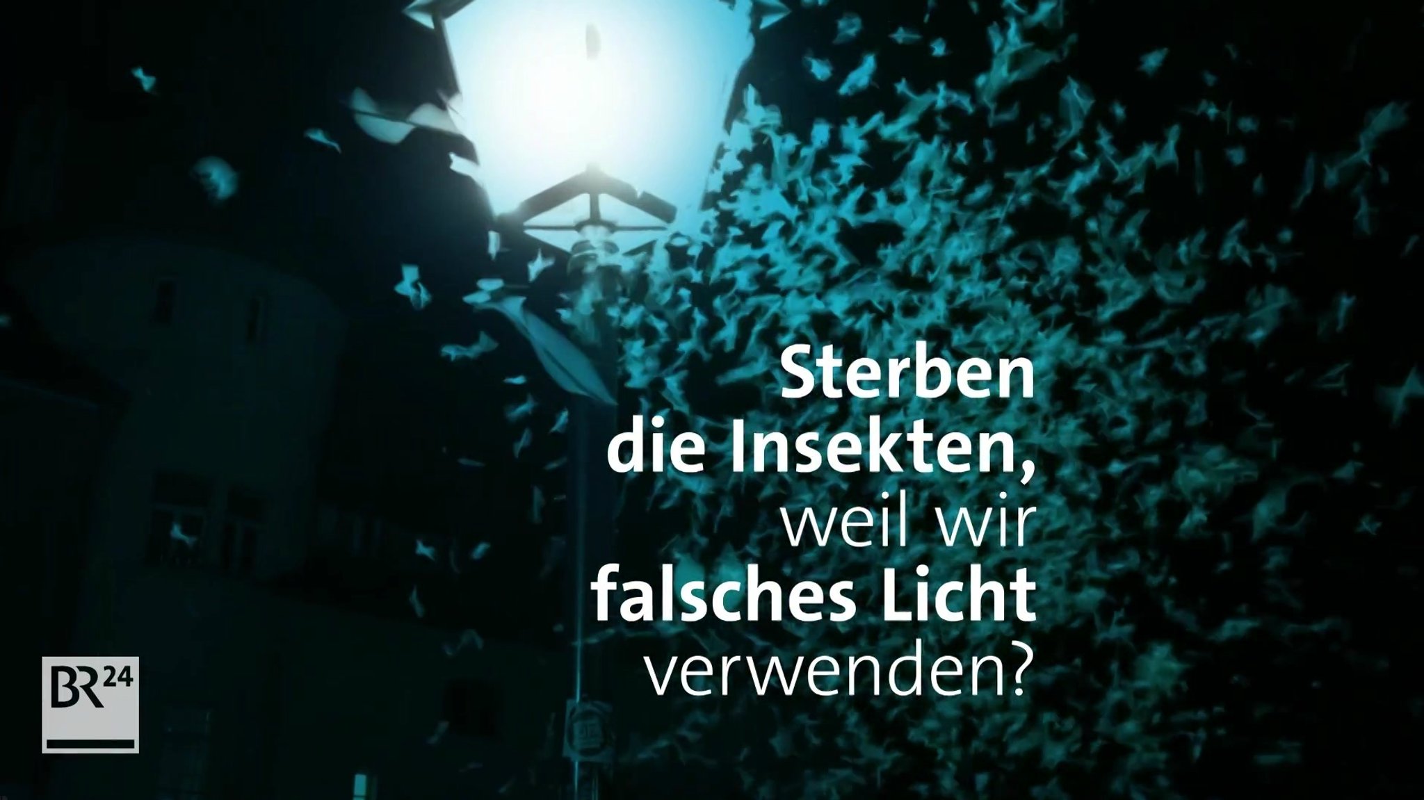 Insekten werden vom Licht der Straßenlaternen angezogen.