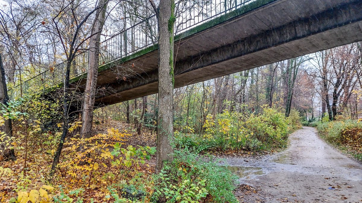 Der Tatort im Englischen Garten: die Kleinhesseloher Brücke