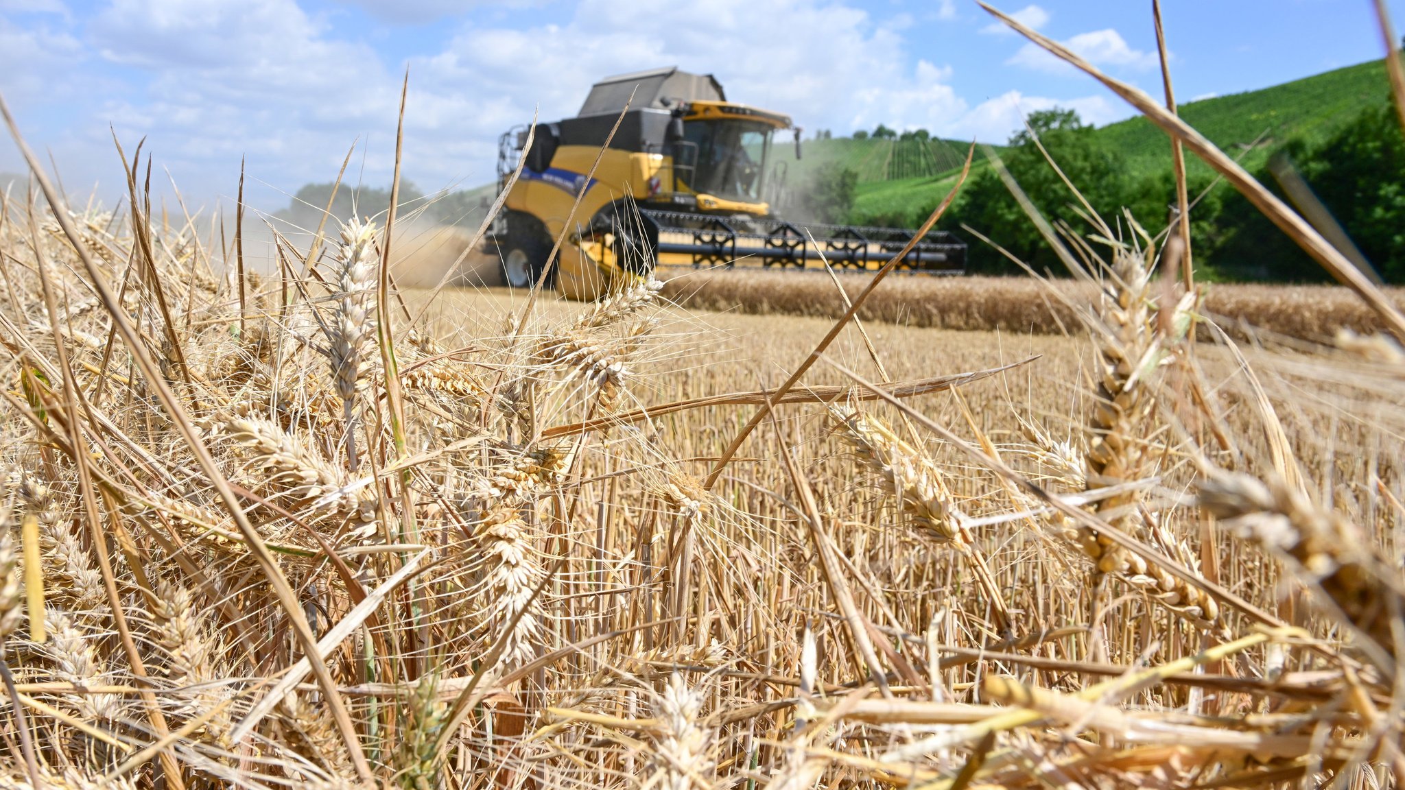 Wassermangel: Trockenheit bereitet Landwirten Sorgen