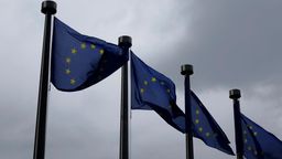 EU-Flaggen | Bild:picture alliance / Sascha Steinach/dpa-Zentralbild/dpa
