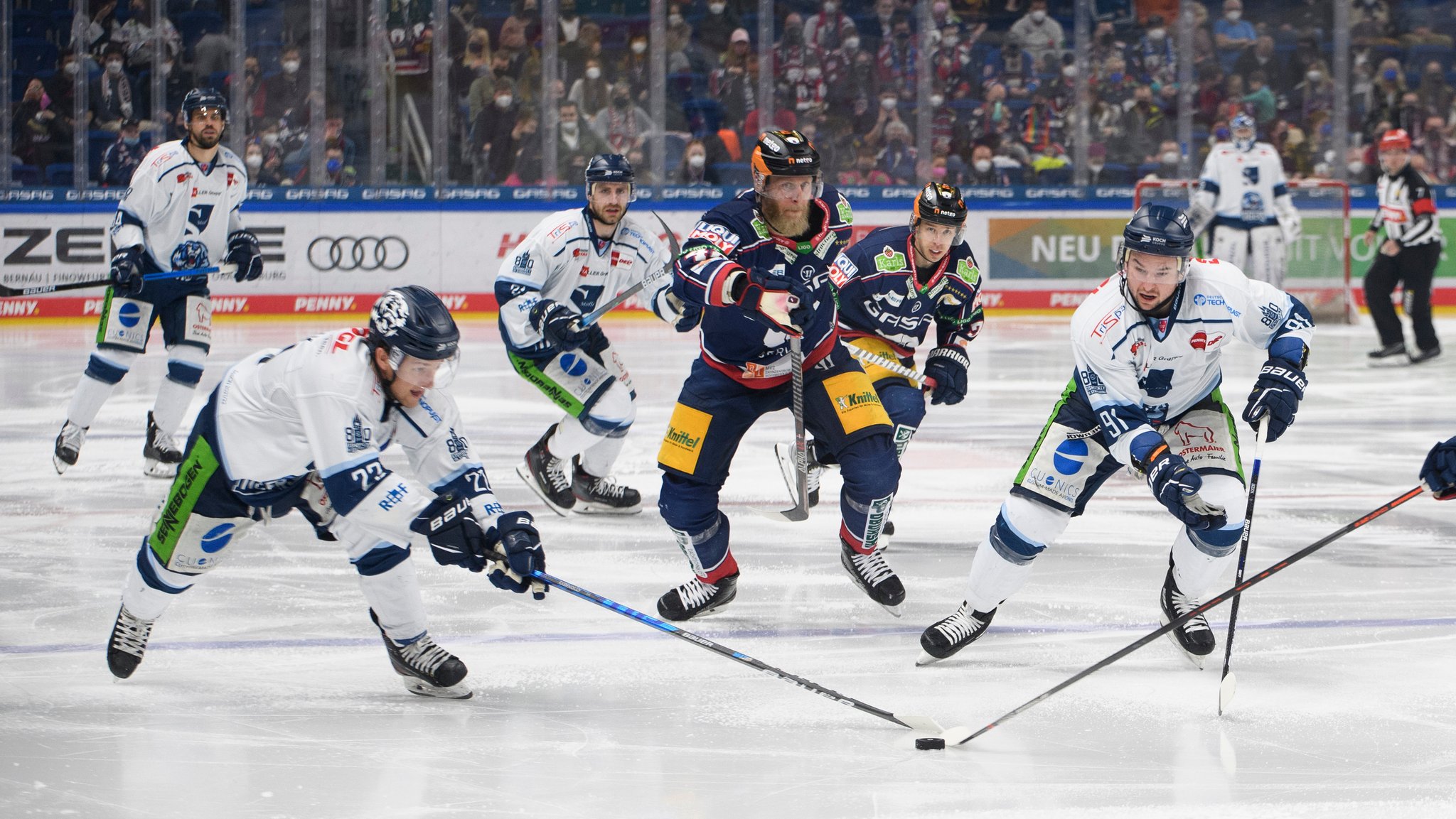 Die Straubing Tigers im Auswärtsspiel gegen die Eisbären Berlin