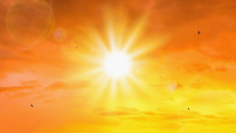 Direkter Blick in die Sonne. Das Bild ist stark orange als Symbol für die Hitzewellen. Es sind vereinzelt fliegende Vögel zu sehen. | Bild: stock.adobe.com/Lemonsoup14 Direkter Blick in die Sonne. Das Bild ist stark orange als Symbol für die Hitzewellen. Es sind vereinzelt fliegende Vögel zu sehen.