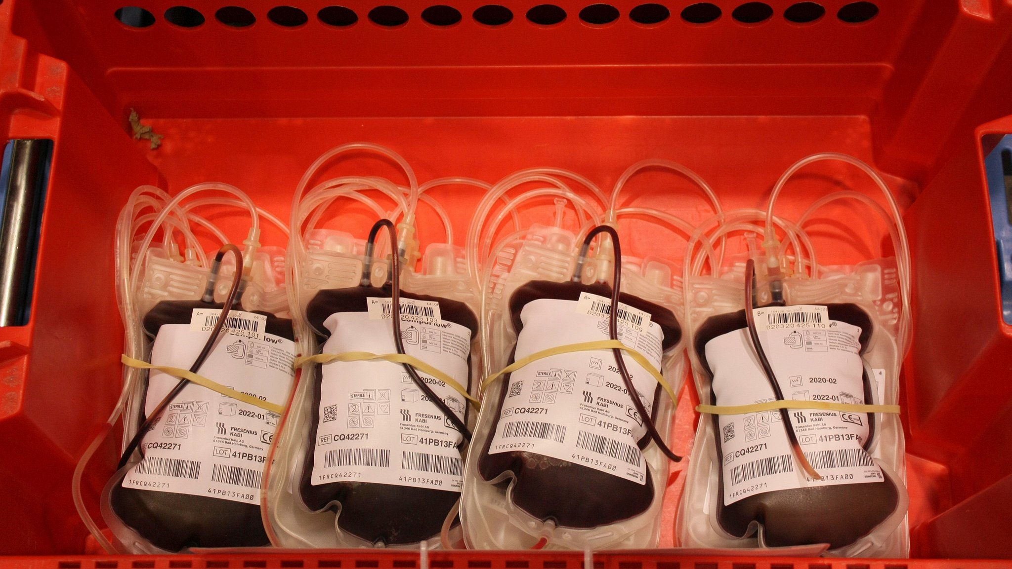 Ein halber Liter Blut wird bei einer Vollblutspende entnommen. Es wird aufbereitet und in verschiedene Blutkomponenten getrennt.
| Bild: BR/NDR/Ute Jurkovics Ein halber Liter Blut wird bei einer Vollblutspende entnommen. Es wird aufbereitet und in verschiedene Blutkomponenten getrennt.