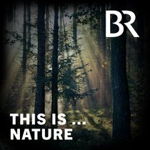 This Is Nature | Bild: BR/Stock.adobe.com/Gabriele Rohde