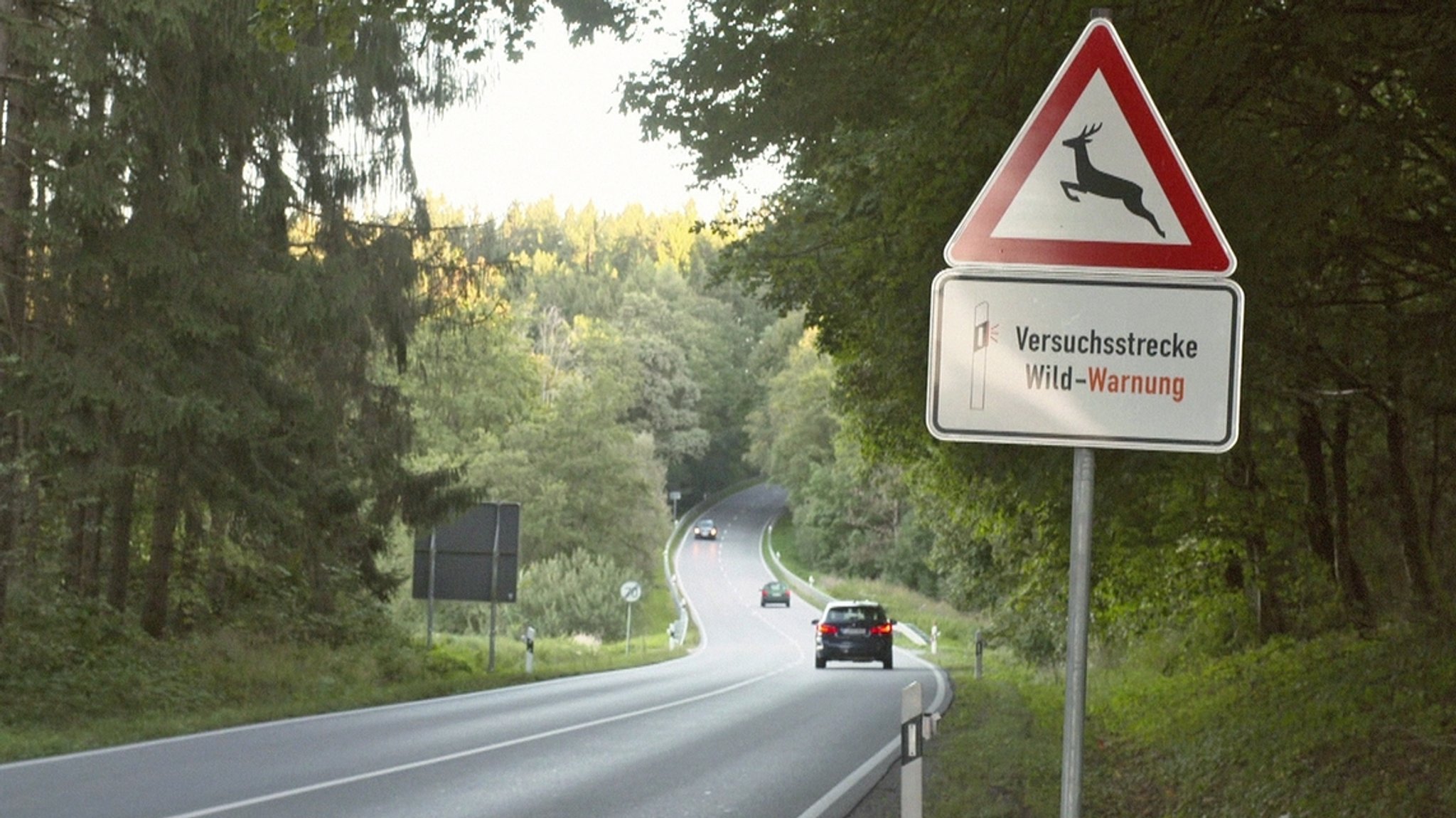 Wildunfall: Wie Sensoren Autofahrer warnen sollen