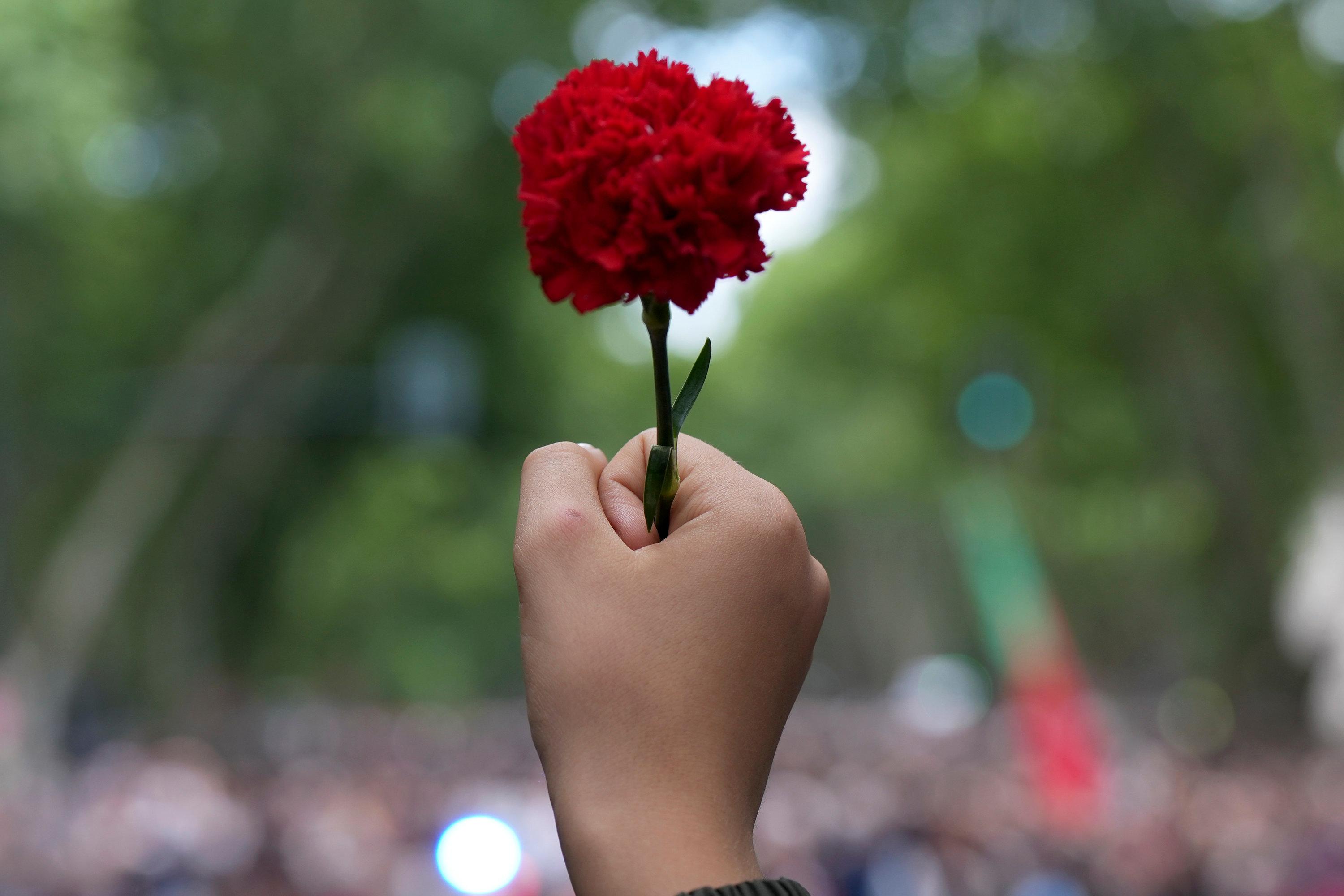 Hand hält rote Nelke hoch