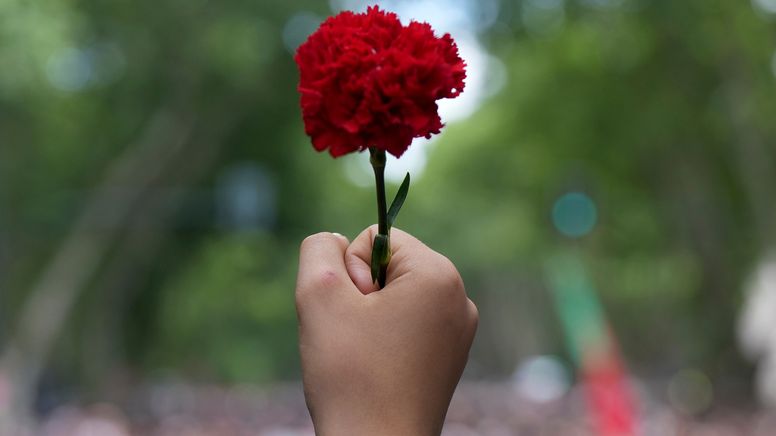 Hand hält rote Nelke hoch | Bild:dpa-Bildfunk/Ana Brigida