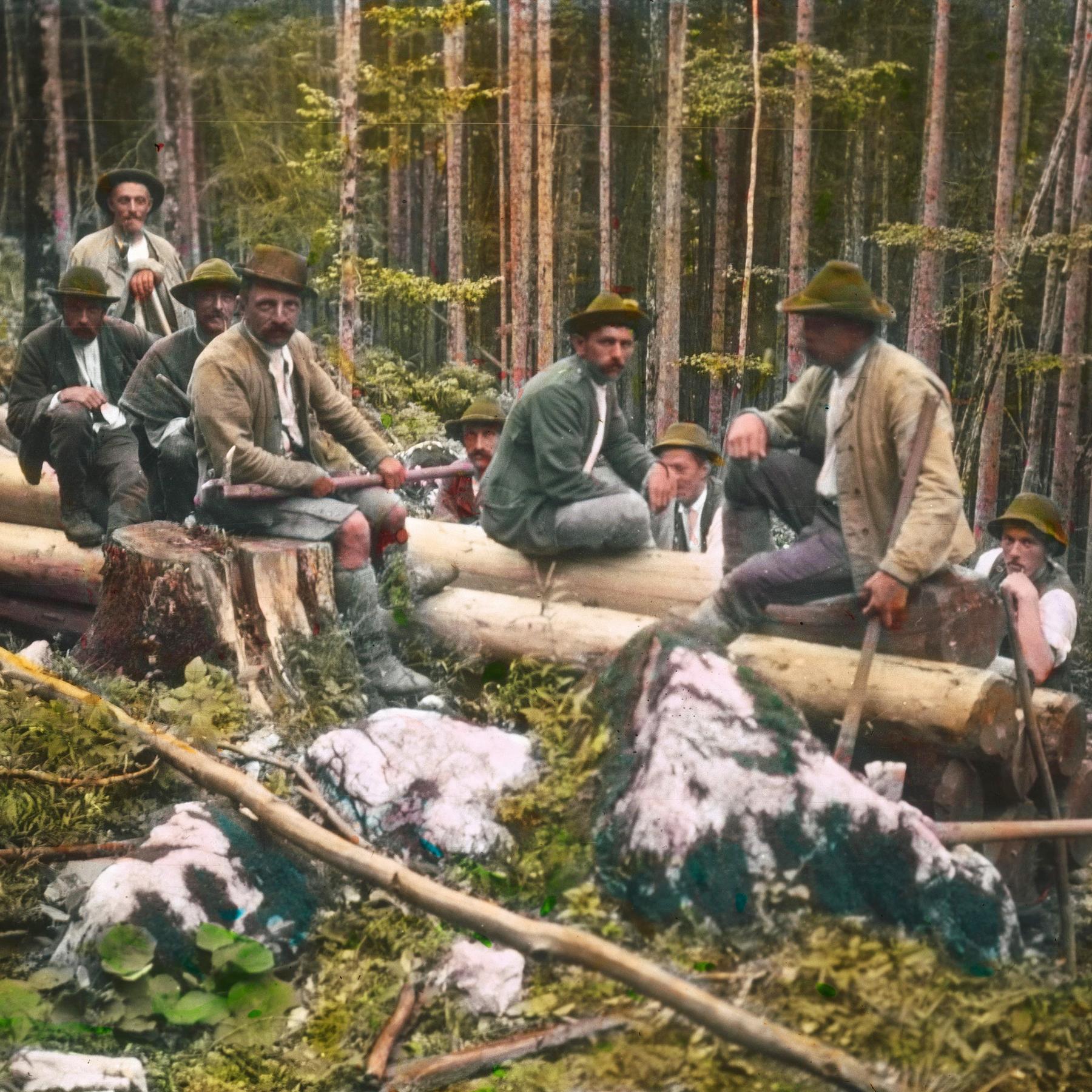 LAND UND LEUTE: Mit Axt und Säge - Vom harten Leben der Holzknechte episode artwork