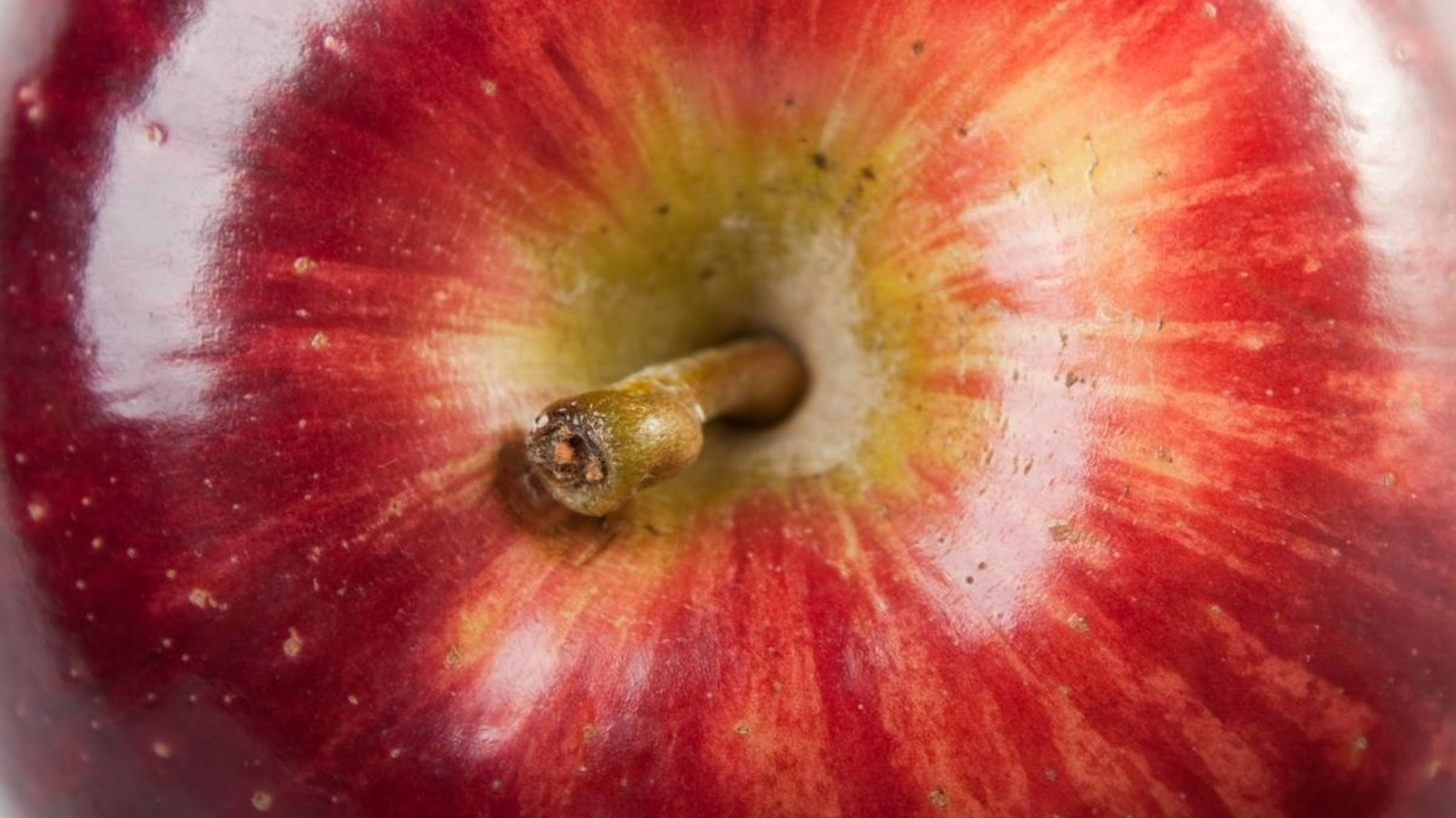 Ein roter Apfel mit Stängel in der Nahaufnahme
