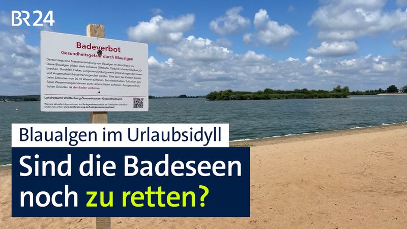 BR24 vor Ort: Blaualgen im Urlaubsidyll | Bild: BR BR24 vor Ort: Blaualgen im Urlaubsidyll