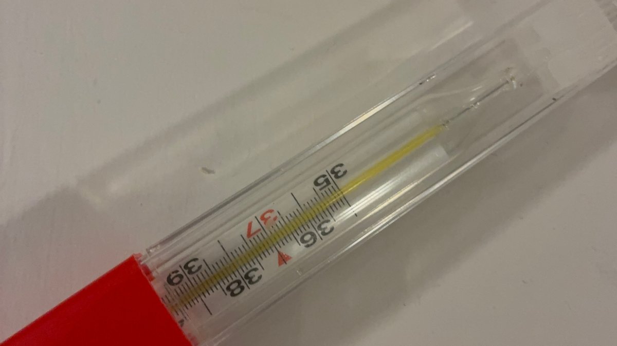 Bild des Thermometers | Bild: PHM Drexler, Polizeiinspektion Schwandorf Bild des Thermometers