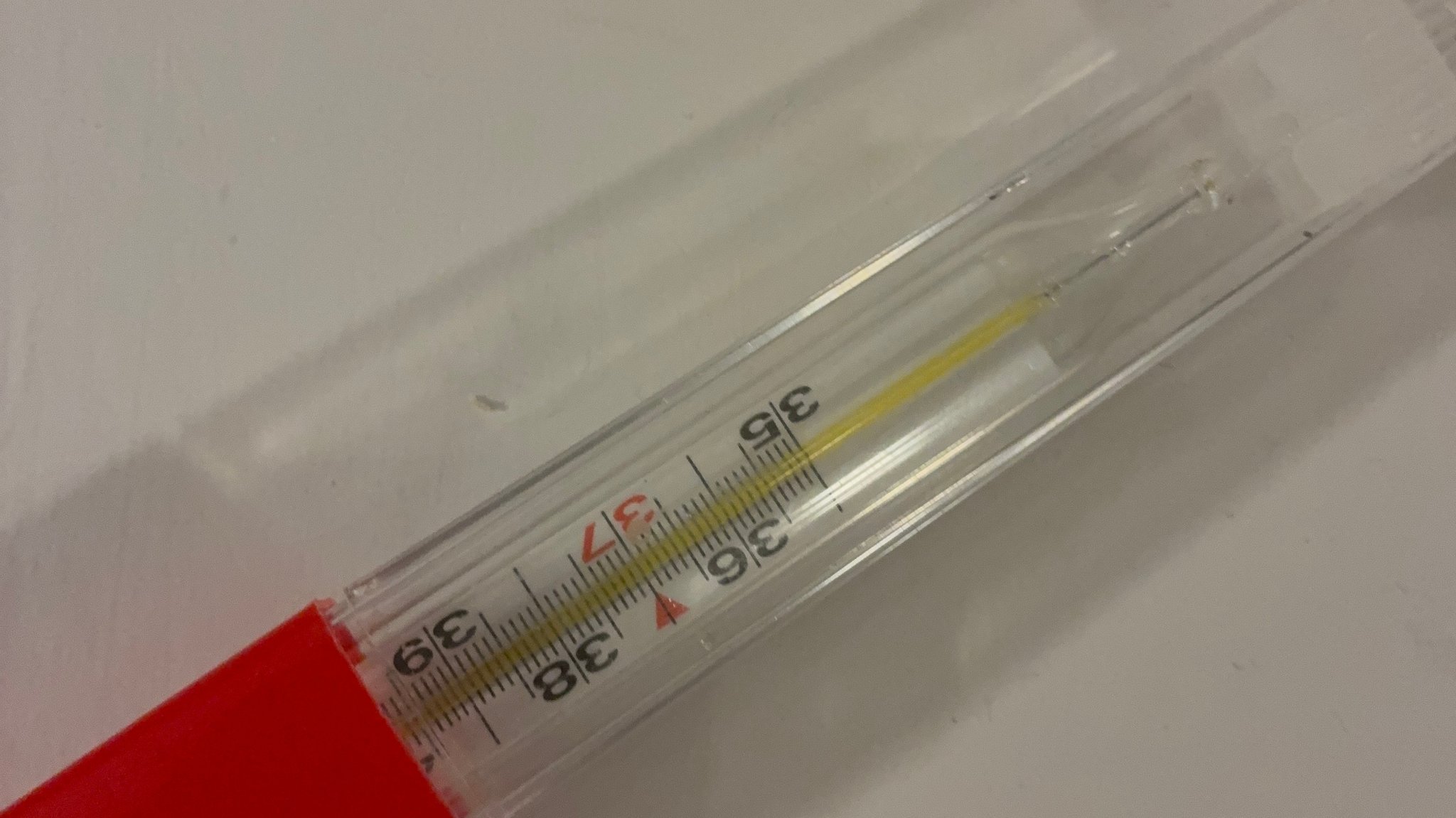 Bild des Thermometers