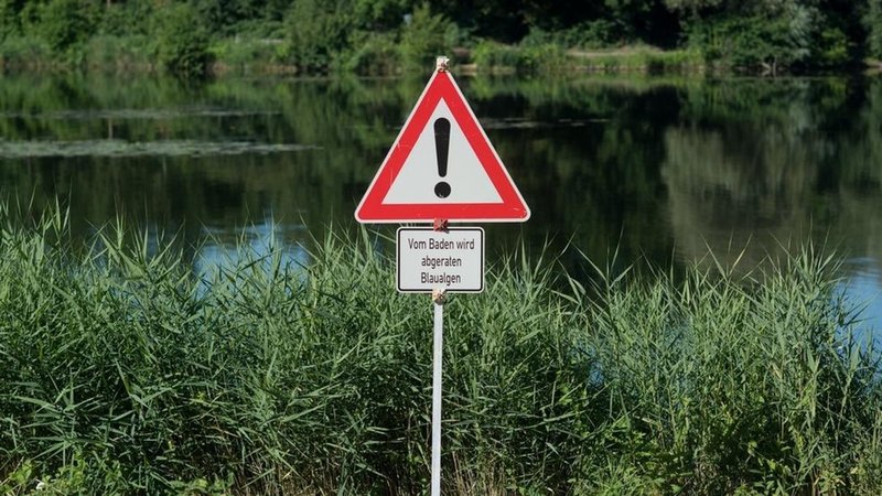 Schild an einem Gewässer warnt vor Blaualgen