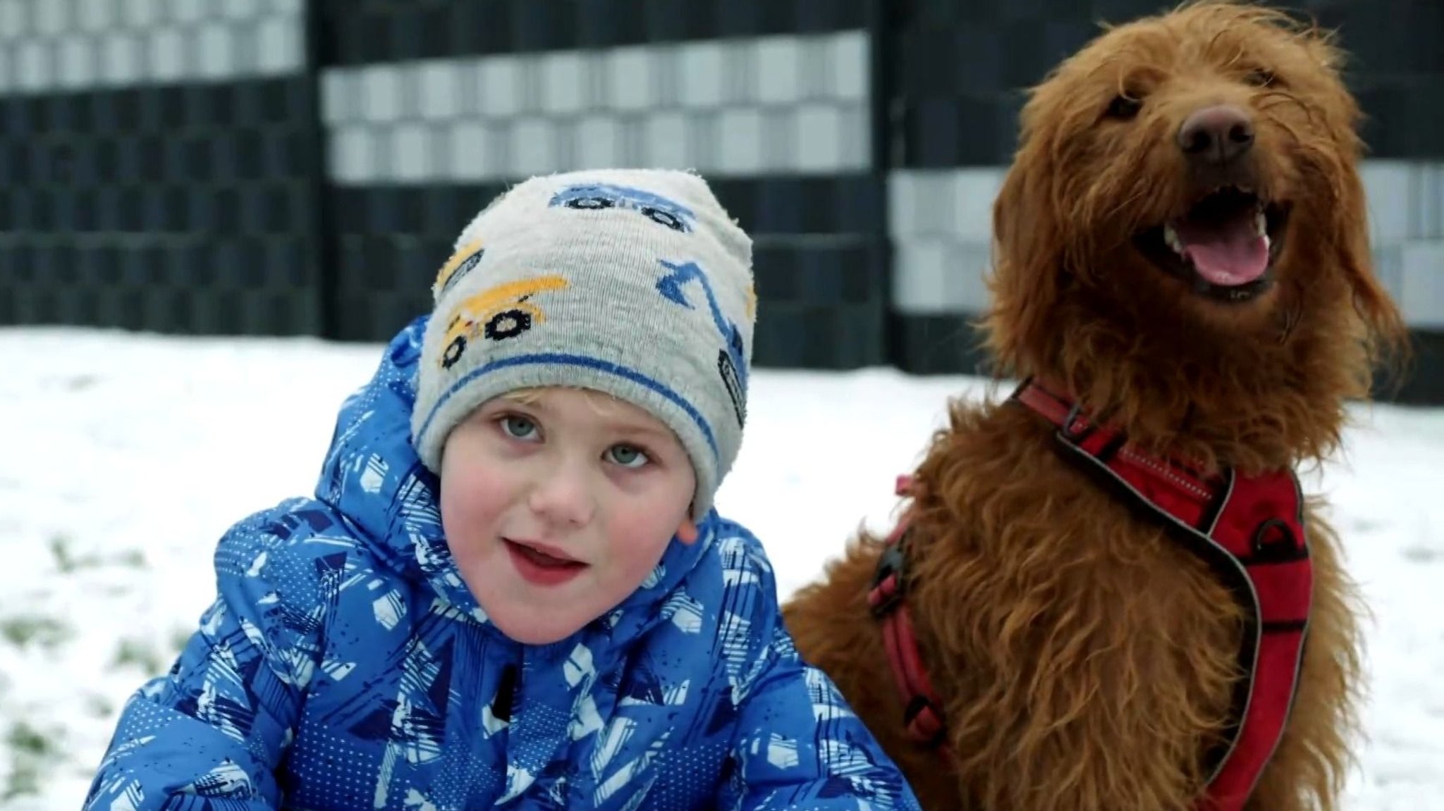 Lias und seine Assistenzhündin Elli. | Bild: BR Lias und seine Assistenzhündin Elli.