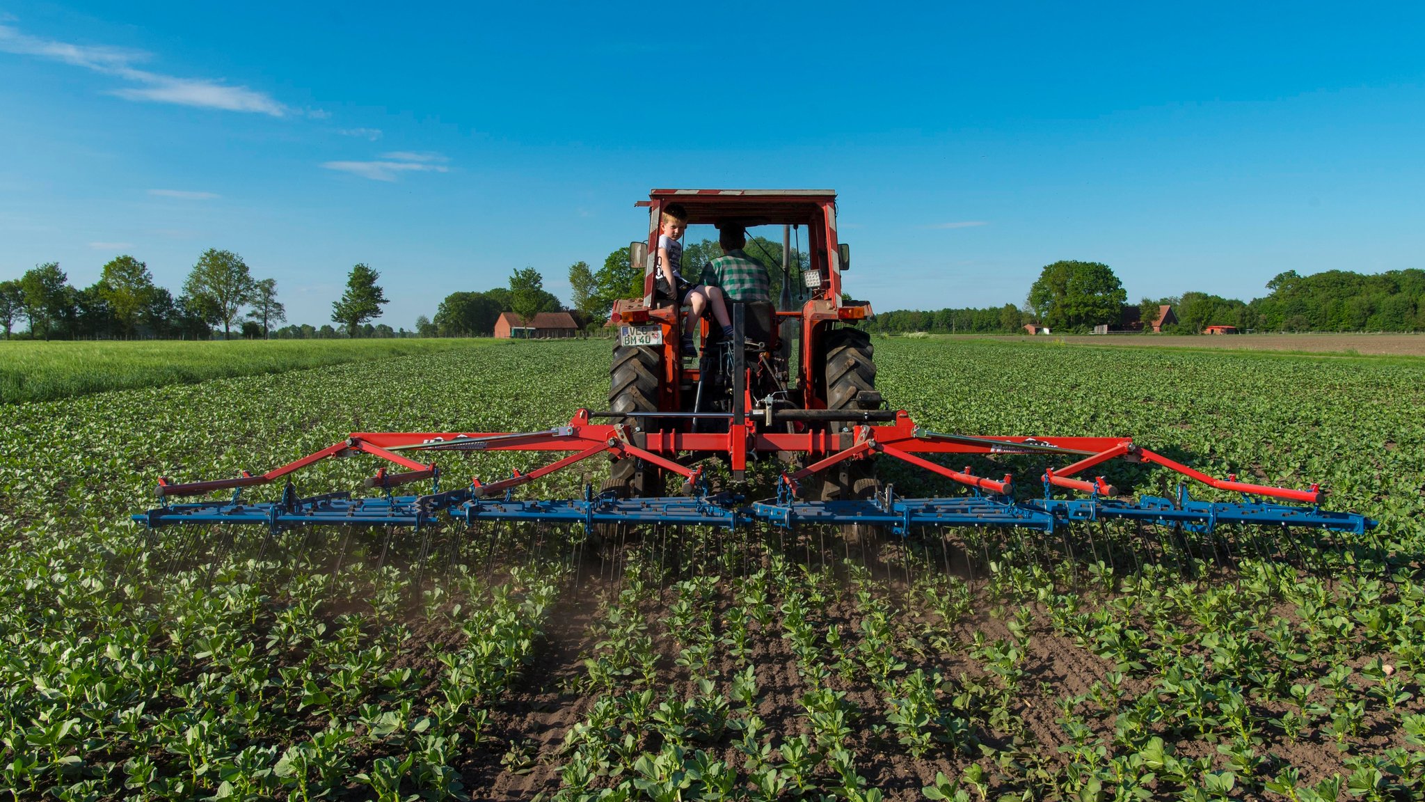 Biobauer bearbeitet sein Feld mit einer hinter dem Traktor hergezogenen Egge