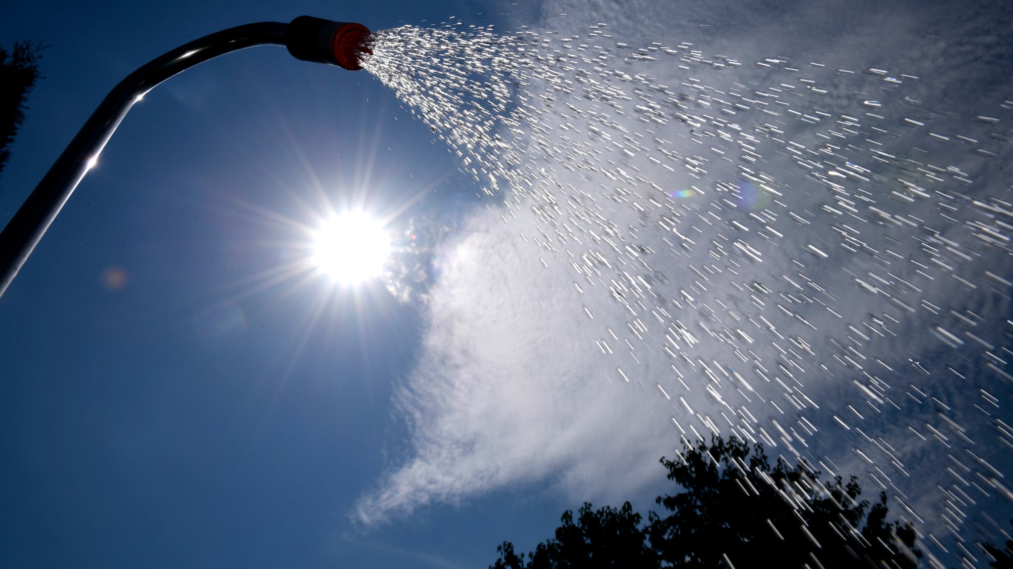 Wasser sparen: Garten, Auto, Pool – was ist derzeit sinnvoll?