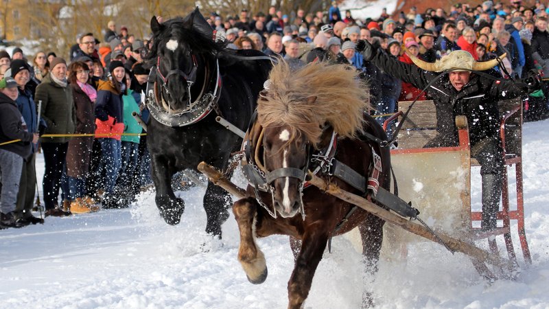 Rinchnacher Pferdeschlittenrennen (Archiv) | Bild: picture alliance / Caro | Sorge Rinchnacher Pferdeschlittenrennen (Archiv)
