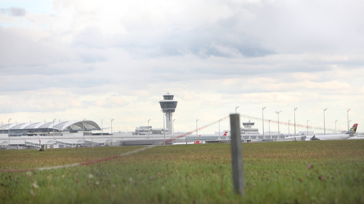 Im Vordergrund ein Feld - im Hintergrund der Flughafen München mit Tower