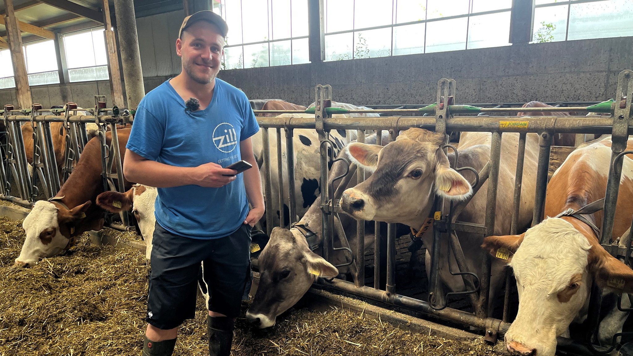 Landwirt Michael Sing neben den Kühen in seinem Kuhstall auf seinem Hof in Bergheim im Landkreis Dillingen.