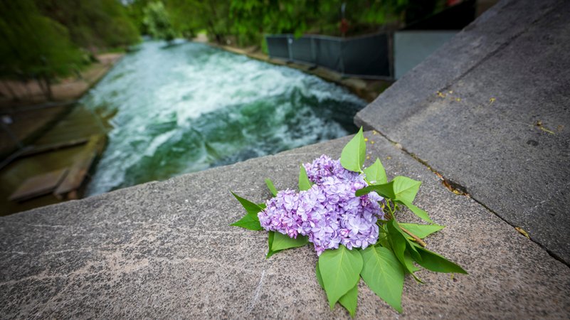 Ein Fliederstrauch liegt am 24.4.2025 oberhalb der künstlichen Welle am Eisbach auf einem Brückengeländer. | Bild: dpa-Bildfunk/Peter Kneffel Ein Fliederstrauch liegt am 24.4.2025 oberhalb der künstlichen Welle am Eisbach auf einem Brückengeländer.