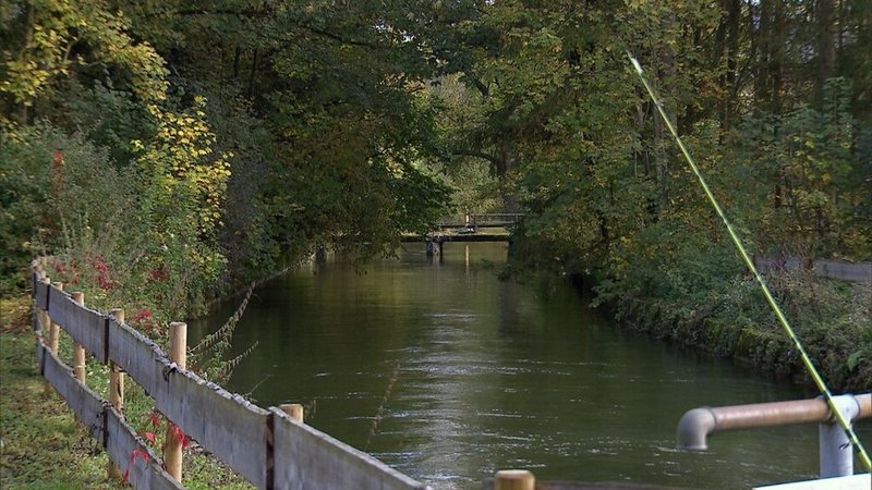 Blick auf die Alz. | Bild: BR/BR Blick auf die Alz.