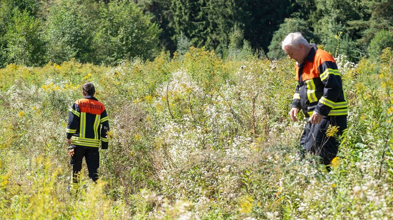 Helfer in einem Feld, sie suchen nachem 83-Jährigen | Bild: picture-alliance/dpa bildfunk/ Peter Kneffel Helfer in einem Feld, sie suchen nachem 83-Jährigen